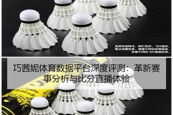 巧茜妮体育数据平台深度评测：革新赛事分析与比分直播体验